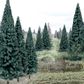 Woodland Scenics 4In- 6In Rm Real Blue Spruce 13/Pk *
