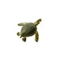 Safari Ltd Sea Turtles Good Luck Minis