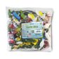 Safari Ltd Exotic Birds Bulk Bag