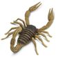 Safari Ltd Scorpion Incredible Creatures