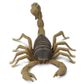 Safari Ltd Scorpion Incredible Creatures