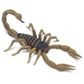 Safari Ltd Scorpion Incredible Creatures