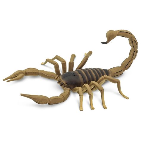 Safari Ltd Scorpion Incredible Creatures