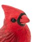 Safari Ltd Cardinal Incredible Creatures