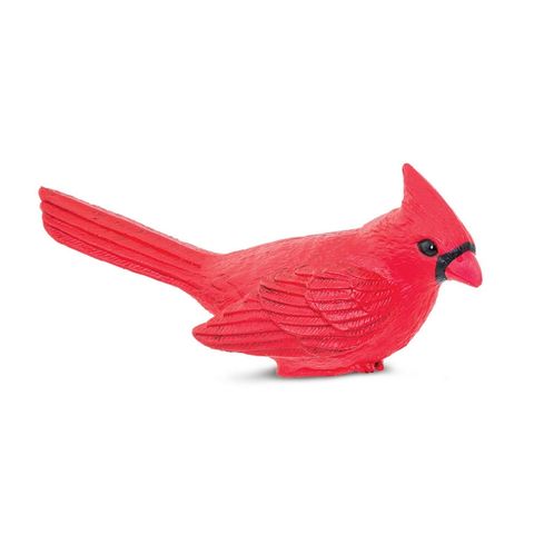 Safari Ltd Cardinal Incredible Creatures