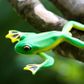 Safari Ltd Flying Tree Frog IncredibleCreatures