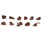 Safari Ltd Dinosaur Skulls Toob