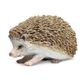 Safari Ltd Hedgehog Incredible Creatures