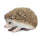 Safari Ltd Hedgehog