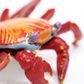 Safari Ltd Galapagos Sally Lightfoot Crab  Incre