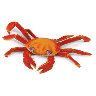 Safari Ltd Galapagos Sally Lightfoot Crab  Incre