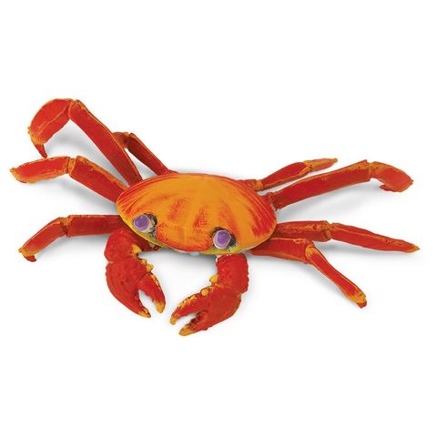 Safari Ltd Galapagos Sally Lightfoot Crab  Incre