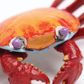 Safari Ltd Galapagos Sally Lightfoot Crab