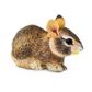 Safari Ltd Eastern Cottontail Rabbit Baby  Incredib