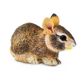 Safari Ltd Eastern Cottontail Rabbit Baby