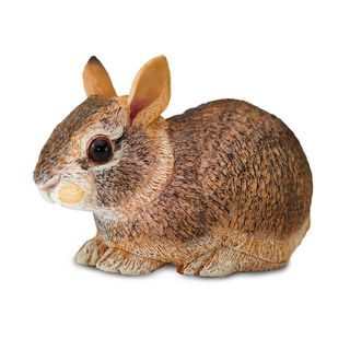 Safari Ltd Eastern Cottontail Rabbit Baby  Incredib