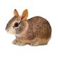 Safari Ltd Eastern Cottontail Rabbit Baby
