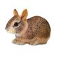 Safari Ltd Eastern Cottontail Rabbit Baby