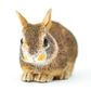 Safari Ltd Eastern Cottontail Rabbit Baby  Incredib