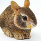 Safari Ltd Eastern Cottontail Rabbit Baby