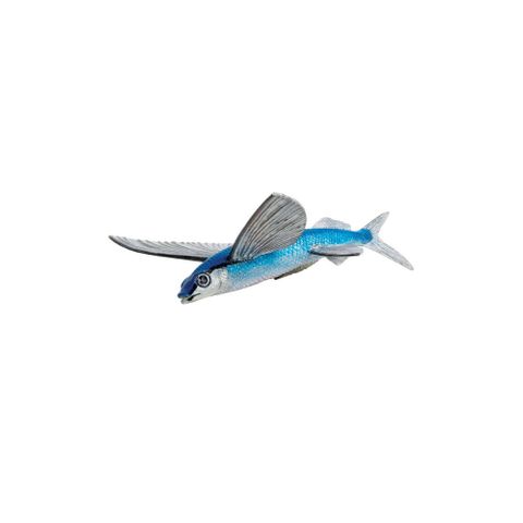 Safari Ltd Flying Fish Incredible Creatures