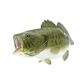 Safari Ltd Largemouth Bass