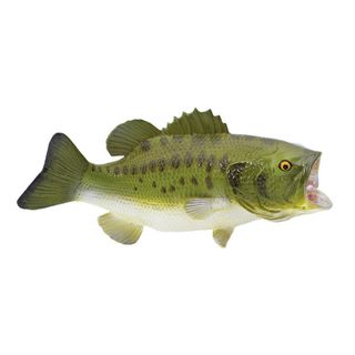 Safari Ltd Largemouth Bass