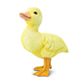 Safari Ltd Duckling