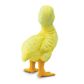 Safari Ltd Duckling