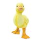 Safari Ltd Duckling