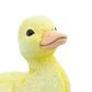 Safari Ltd Duckling