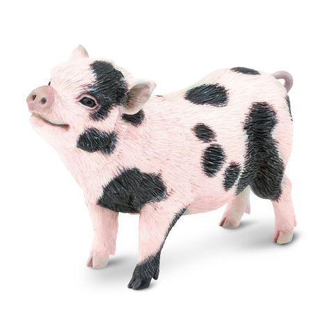 Safari Ltd Pot-Bellied Pig Incredible Creatures