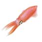 Safari Ltd Reef Squid