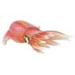 Safari Ltd Reef Squid
