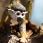 Safari Ltd Squirrel Monkey Incredible Creatures