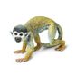 Safari Ltd Squirrel Monkey Incredible Creatures