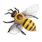 Safari Ltd Honey Bee Incredible Creatures