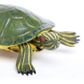 Safari Ltd Red-Eared Slider Turtle Incredible Crea