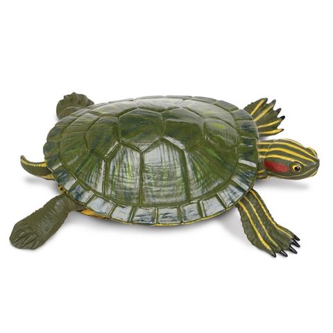 Safari Ltd Red-Eared Slider Turtle Incredible Crea