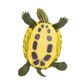 Safari Ltd Red-Eared Slider Turtle Incredible Crea