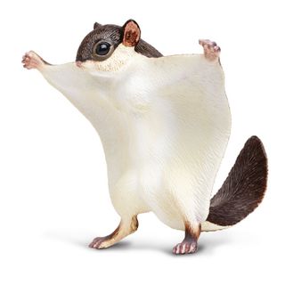 Safari Ltd Flying Squirrel Incredible Creatures