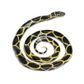 Safari Ltd Chain Kingsnake Incredible Creatures