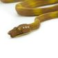 Safari Ltd Amazon Tree Boa