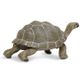 Safari Ltd Tortoise Incredible Creatures