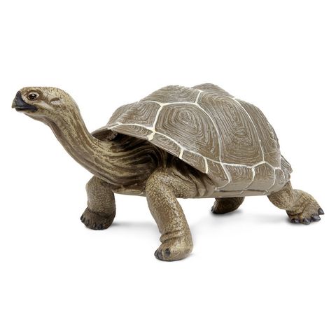 Safari Ltd Tortoise Incredible Creatures