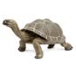 Safari Ltd Tortoise Incredible Creatures