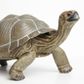 Safari Ltd Tortoise Incredible Creatures