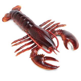 Safari Ltd Maine Lobster Incredible Creatures