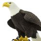 Safari Ltd Bald Eagle