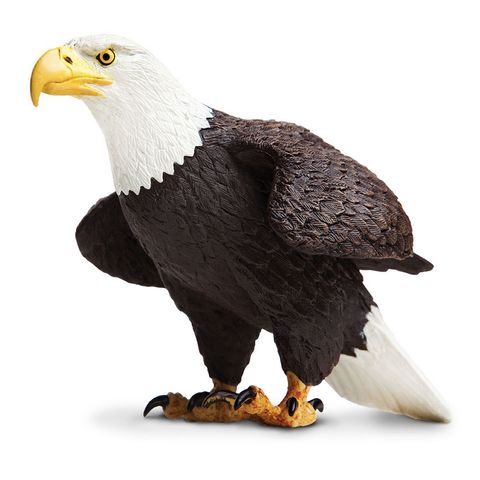 Safari Ltd Bald Eagle